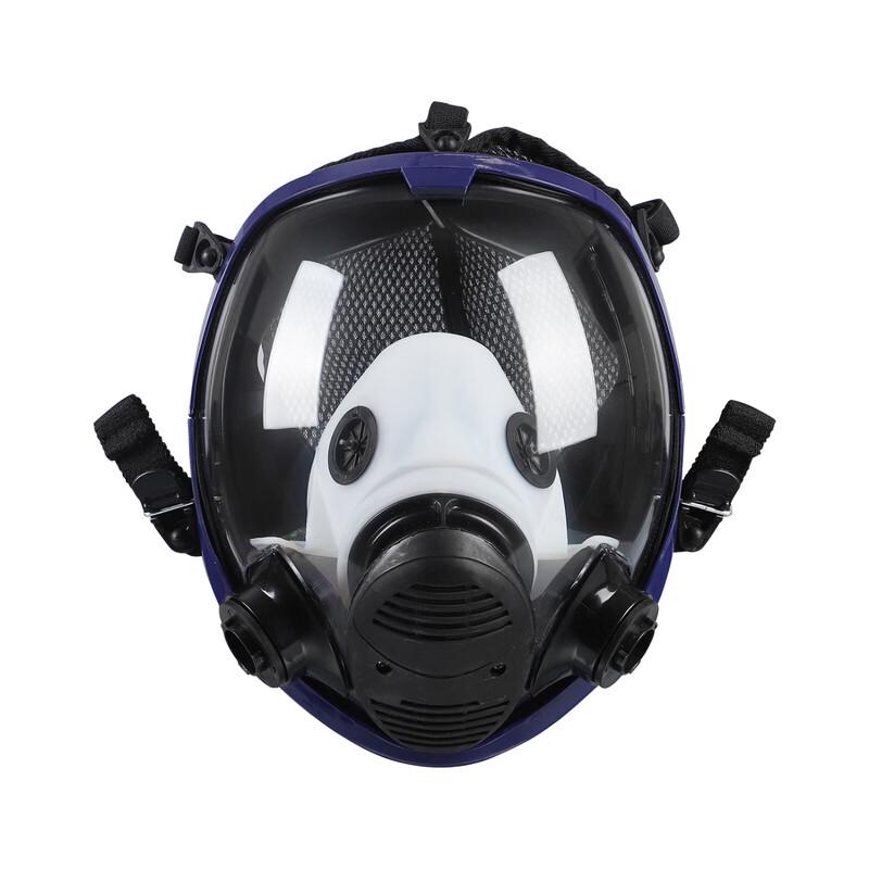 DAXTE Full-Face Dust Respirator