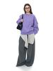 Louvre Winter Korean INS Oversized Leisure Sports Plus Velvet Warm Sweater: Skin-Friendly, Loose-Fit Women's Top.