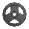 Cast Iron Weight 1X25Kg, 51Mm Hole, Plate With Rebel Handles