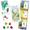 Arclight Wingspan Expansion Latin America Board Game Set for 1-5 Players Ages 10+ 40-70 Minutes Playtime