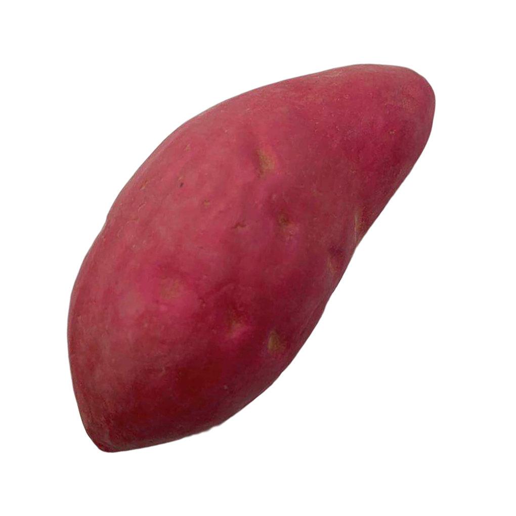 NEU Künstliche Süßkartoffel Simulation Schaum Gemüse Requisite Heimküche