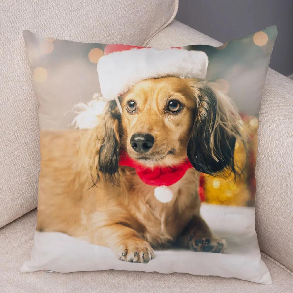 Mini Dackel Hund Kissenbezug Dekor Haustier Tier Kissenbezüge Superweicher Plüsch Kissenbezug für Sofa Zuhause Kinderzimmer 45x45cm