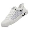 Summer Little White Shoes Men's Mesh Breathable Men's Board Shoes Comfortable and Versatile Sports Trend Casual Shoes Men's Shoes