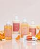 Coral Artisan Full Package (Shampoo 500ml + Conditioner 500ml + Body Wash 500ml + Body Lotion)