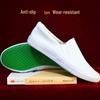 Non-Slip Blue Canvas Shoes for Clean Rooms - Large Size, Elastic Band for Men and Women