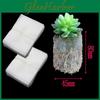 Degradation Environmental Portable 1000 Pcs Cellular Alternative Nonwoven Bags Nursery Seedling Nursery Bags Container Bags
