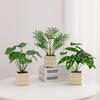 Small Monstera Artificial Plant for Office, Living Room, or Coffee Table Decoration