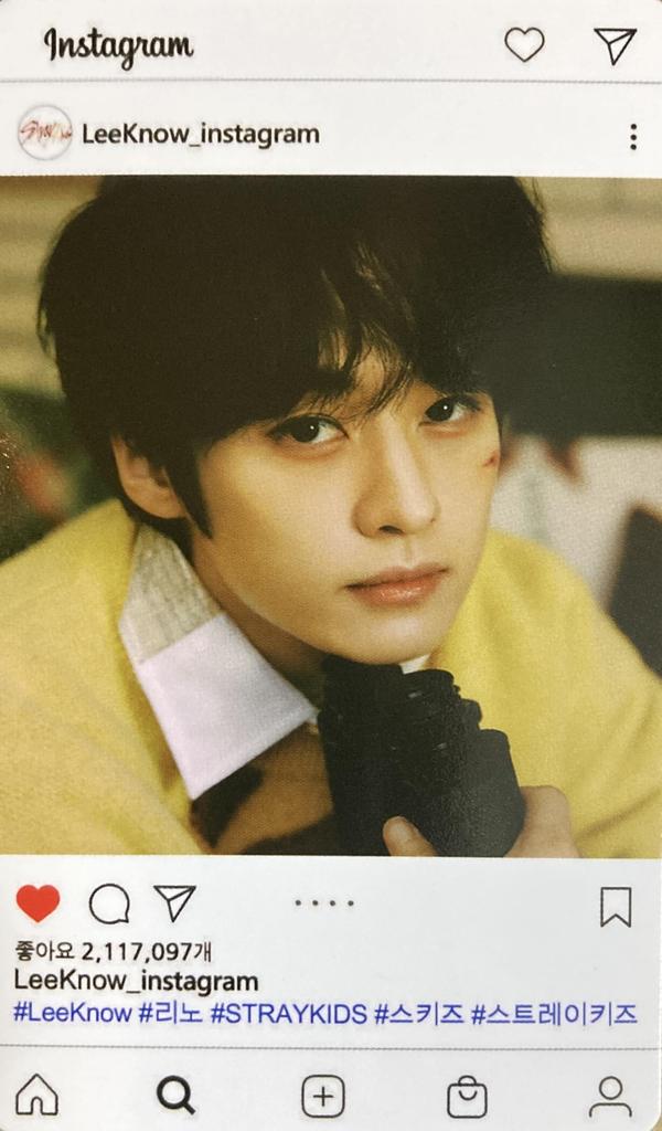 Stray Kids Reno Merchandise Photocard Set 60p (LEEKNOW)