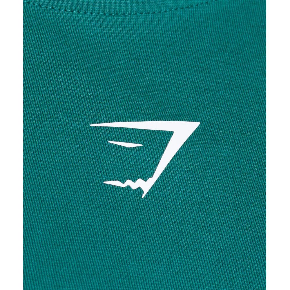 Gymshark Trace Graphic Oversized T shirT funcTional Teal B4b3p TbTr