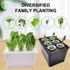 6 Holes Hydroponic Grower Kit Self Watering Nursery Pots Soil-Free Planting Box  Vegetable Growing