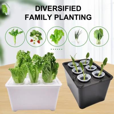 6 Holes Hydroponic Grower Kit Self Watering Nursery Pots Soil-Free Planting Box  Vegetable Growing