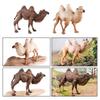 Life Like Bactrian Camel Model Figure for Home Decoration Model Camels Animal Toy Car Table Decors Child Educational Toy