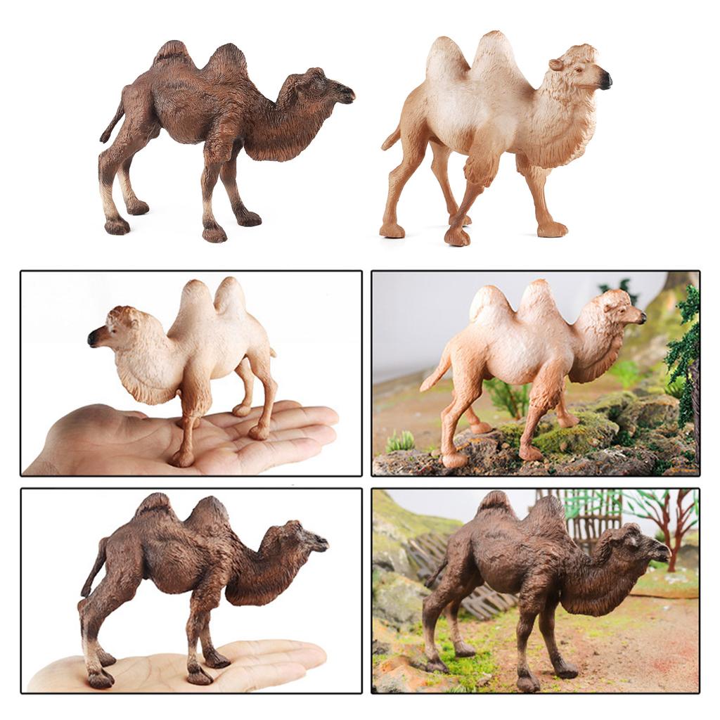 Lebensechtes baktrisches Kamel Modell Figur für Heimdekoration Modell Kamele Tier Spielzeug Auto Tischdekorationen Kinderspielzeug
