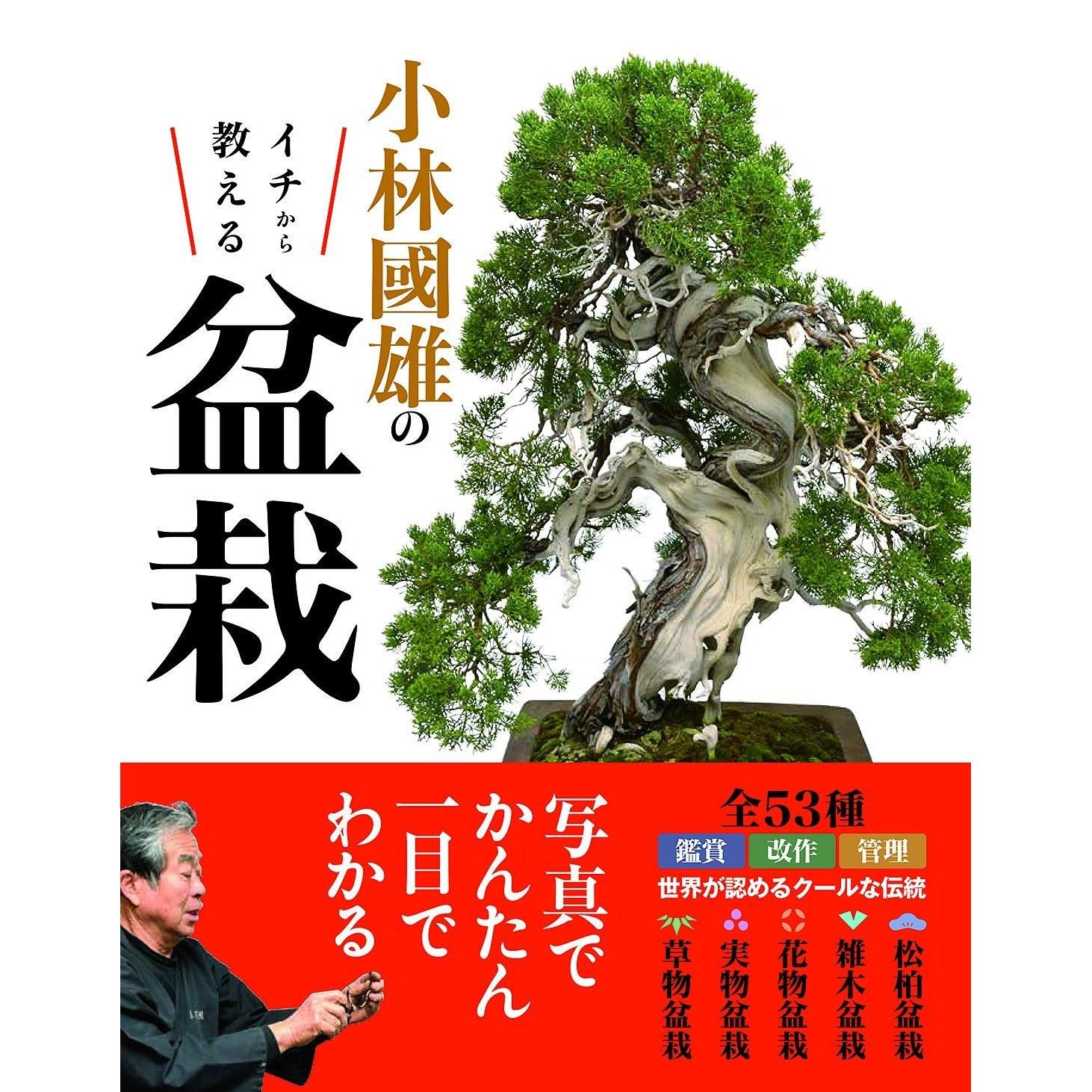 Kobayashi Kunios Beginners Guide Bonsai