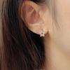 Star Zircon Yk Stud Earrings American Niche Design Sense Cold Retro Unique High-end Sense Women