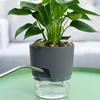 Self-absorbing Water Self-absorbing Water Flower Pot Lazy Flower Pot  Living Room