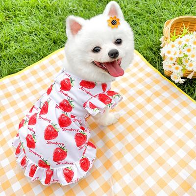 Princess Skirt Dog Dress for Small Dogs Cute Summer Clothes Thin Puppy Chihuahua York Clothing Pet Fashion Accessory