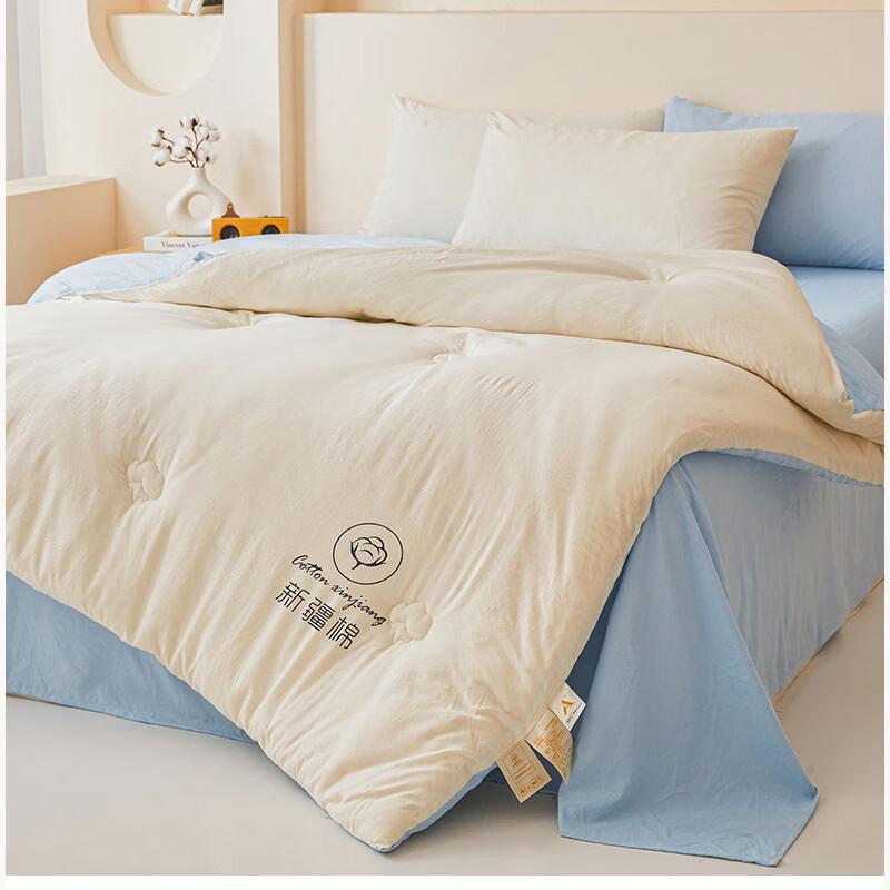 FanShun 2-in-1 Winter Cotton Shell Duvet