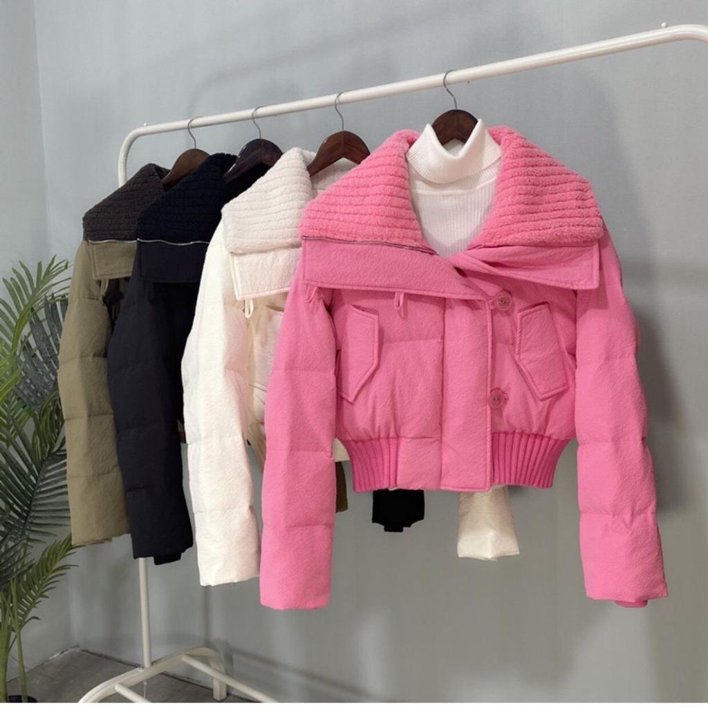 Short and High-waist Down Jacket for Women, Ultimate Winter Fashion Choice