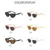 Vintage Cat Eye ladies Sunglasses Vintage Small Frame Sun Glasses For Men Luxury  Design Outdoor Eyewear UV400
