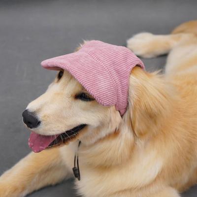 Giyim ve ayakkabı – Köpek için şapkalar