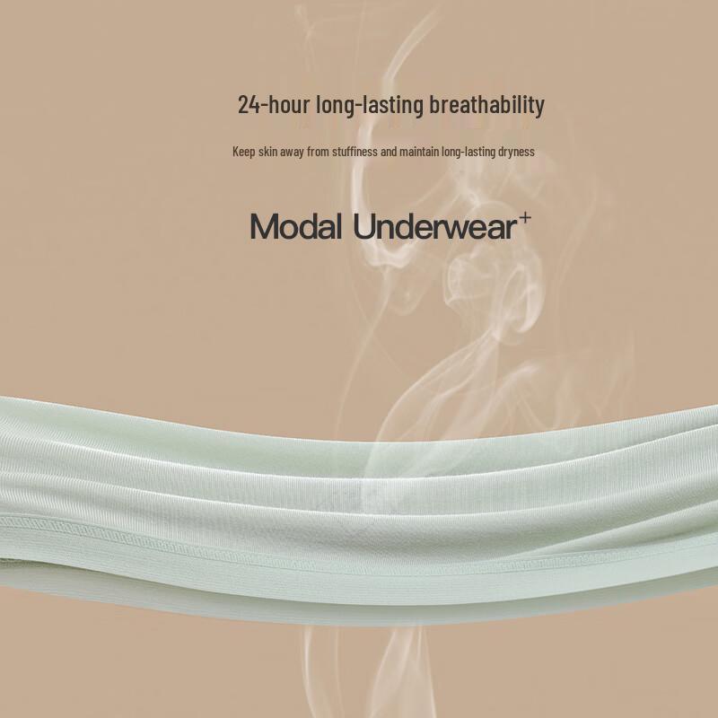 LangSha Women's Modal Antibacterial Breathable Briefs