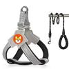 Dog Harness and Leash Set Y-Shaped Vest Soft Breathable No-Choke Pet Harness for Small Medium Dogs 
