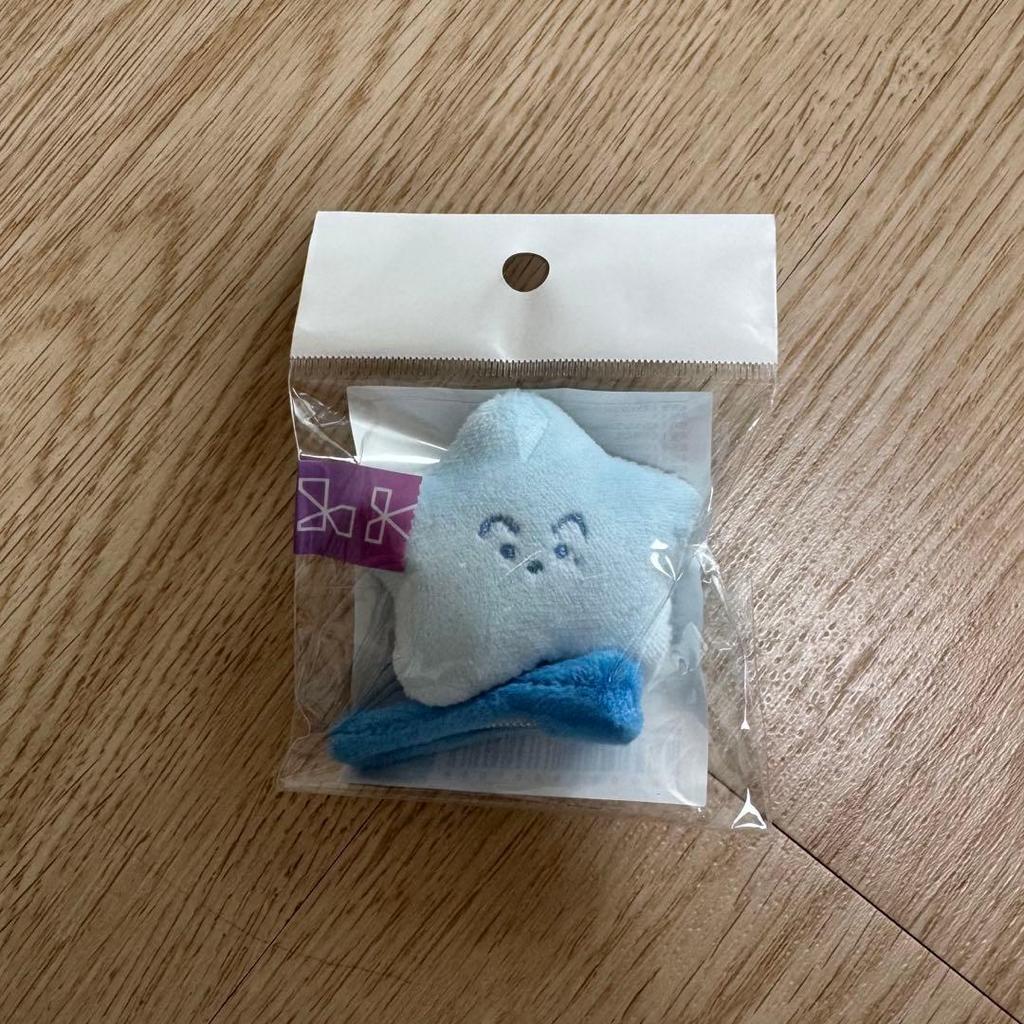 Used NCT127 MARK Starfish Pin