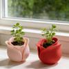 Rosenform Sukkulenten-Becken Blumentopf Kreative Mini-Sukkulenten-Töpfe Für Tägliche Gartenarbeit Heimdekoration Blumentöpfe