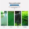 KANGTOUR Eco-Friendly Pool Algaecide