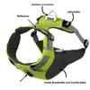 Heavy‑Duty Dog Harness Set Soft Padded Anti‑Pull Pet Vest Harness Adjustable for Small Medium Dogs Outdoor Walking Accessories