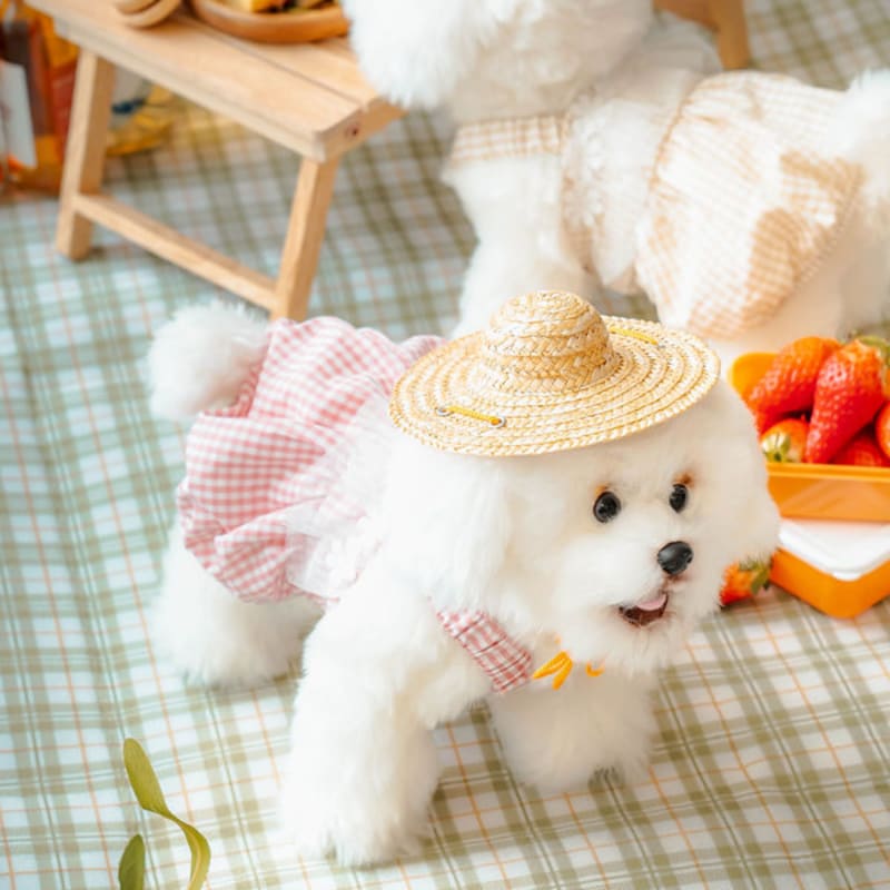 [Pet] Lovely One Piece L