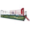 Professional Combat Sports Rings & Cages