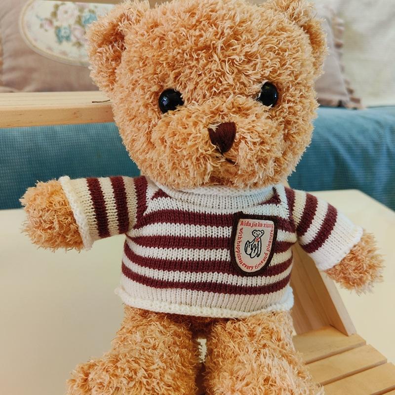 Plush Toy Teddy Bear Doll Plush Toy Doll Gift Animal Bear Doll Gift Throw Pillow