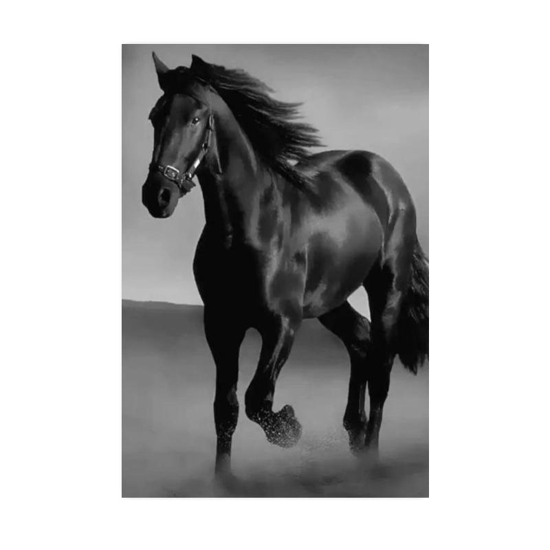 Moderne Tier Pferd Kunst Leinwand Malerei Poster und Drucke Abstrakte Wand Kunst Bilder für Wohnzimmer Hause Dekoration Cuadros