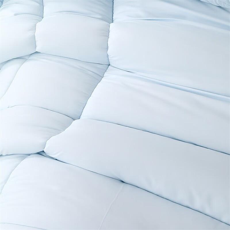 Mercury Home Textiles All-Season Antibacterial Duvet Insert