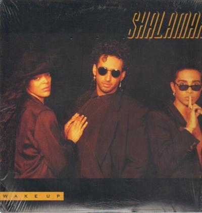 

LP Record SHALAMAR Wake Up Z75315 SOLAR 1990 US SoulFunk Used