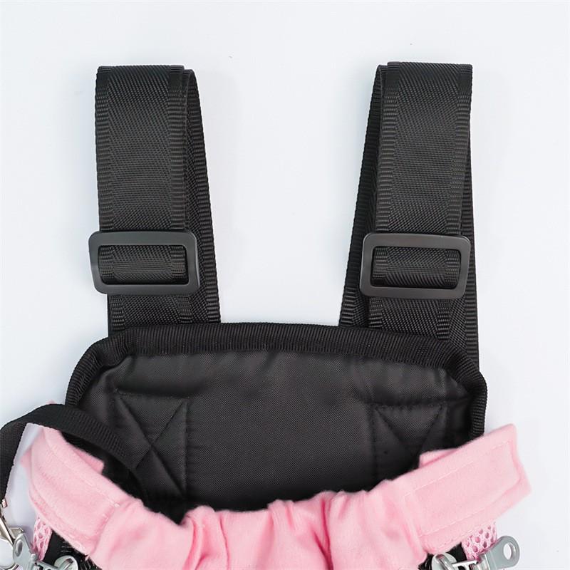 Breathable Mesh Pet Backpack for Cats and Small Dogs