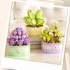 Flower Succulents Building Blocks Everlasting Flower Bonsai Tree Gardens Romantic Bricks DIY Potted Plants Model Kids Kits Toys