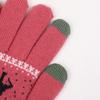 Double-layer Thickened and Velvet Winter Warm Touch-screen Cycling and Driving Anti-cold and Anti-freeze Christmas Deer Knitted Gloves for Men