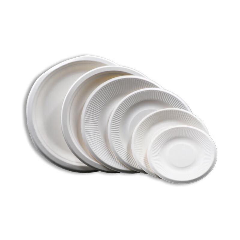 Churong Disposable 9-inch Round Plates, 100 Count