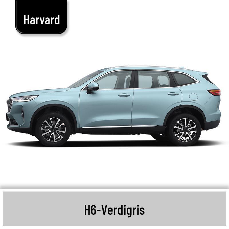 Haval H6 Cool Dog Touch-Up Pen, Black Spot & Ruixue White Scratch Repair Paint