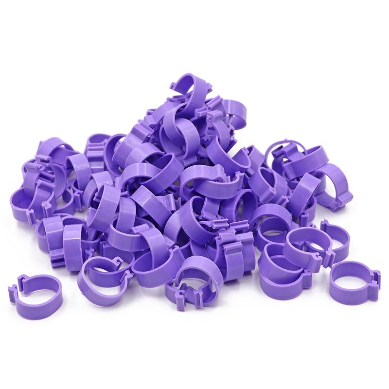 100 Pcs Chicken Foot Rings 6 Colors Poutry Duck Pigeon Geese Quail Bird Ring Carry tools Feeding Logo