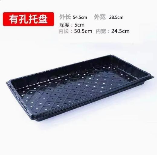 Thickened Seedling Tray for Cuttings and Vegetable Propagation
