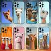 Lustige Tiere A-Alpaka Handyhülle Für iPhone17,16,15,14,13,12,11 Plus,Pro Max Weiche Schwarze Hülle