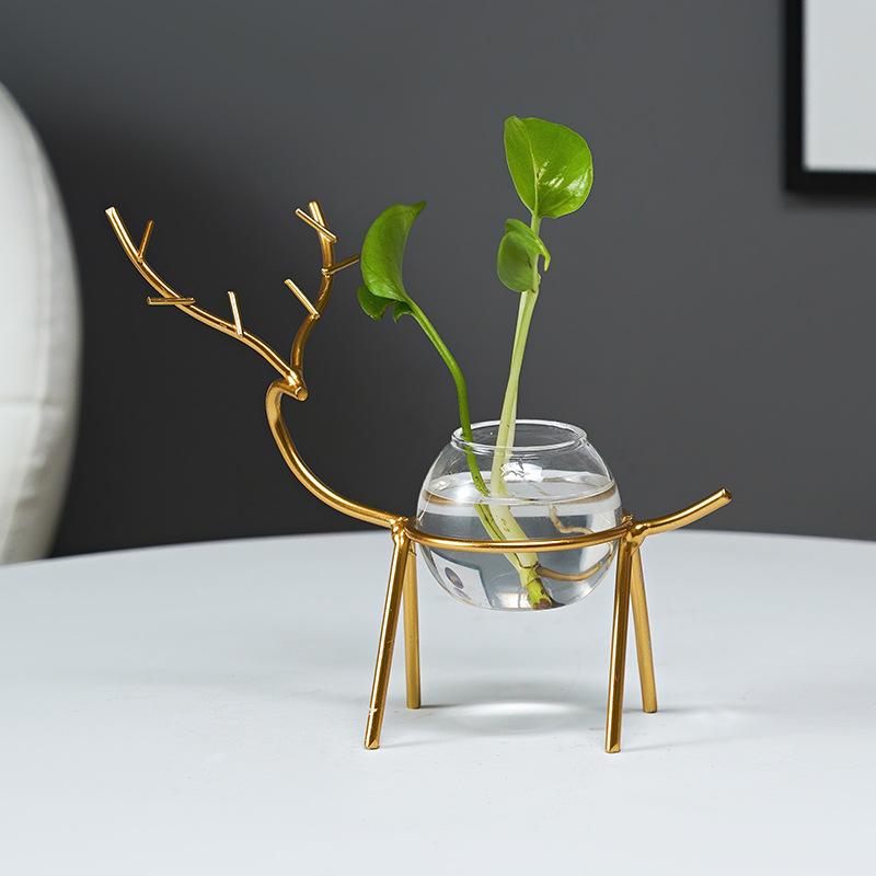 Nordic Hydroponic Flower Pot for Succulents and Water-Grown Plants - Desktop Vase Decoration