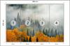 Photomural Fog Over Autumn Forest Smooth Vinyl 368x254