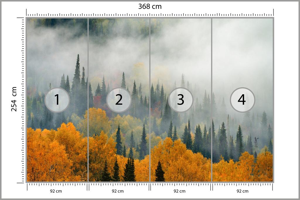 Photomural Fog Over Autumn Forest Smooth Vinyl 368x254