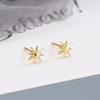 Náušnice z S925 stříbra s geometrickým hvězdicovým zirkonem - Letní nový design pro ženy