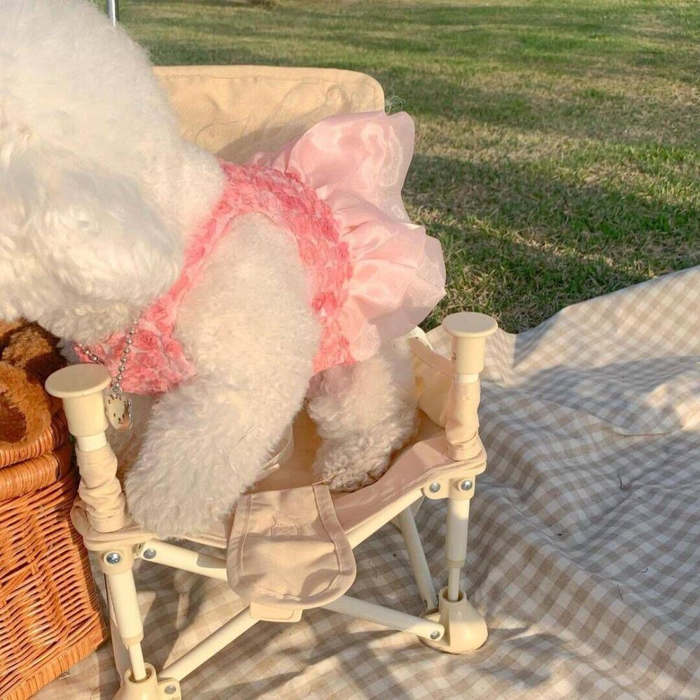 Rose Flowers Small Dog Dress Pink Puppy Pet Clothes Casual Cat Skirt  Wedding